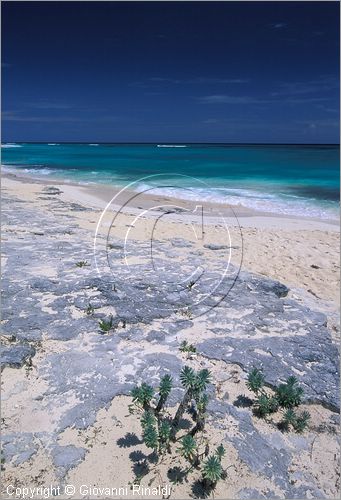 CUBA - Arcipelago delle Isole Canarreos - Cayo Largo - Playa Lindamar