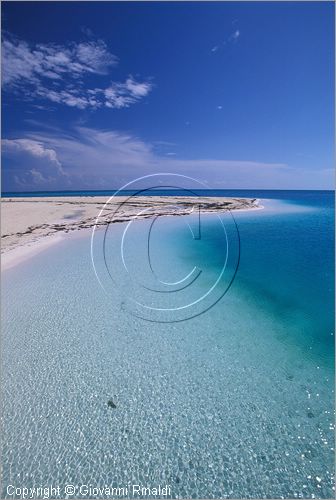 CUBA - Arcipelago delle Isole Canarreos - Cayo Largo - Playa Sirena