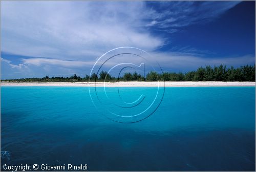 CUBA - Arcipelago delle Isole Canarreos - Cayo Largo - Playa Sirena