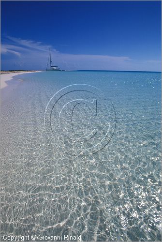 CUBA - Arcipelago delle Isole Canarreos - Cayo Largo - Playa Sirena