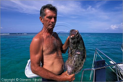 CUBA - Arcipelago delle Isole Canarreos - una cernia tropicale appena pescata sulla barriera corallina