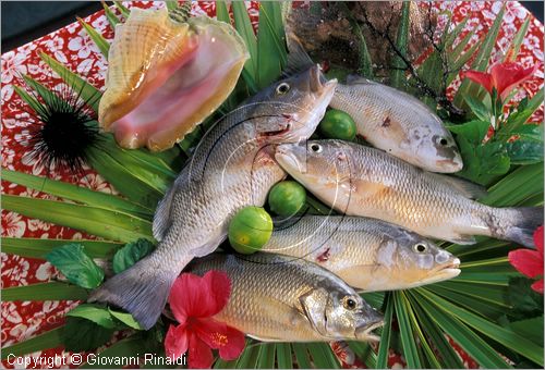 CUBA - Arcipelago delle Isole Canarreos - pescato nelle lagune ricchissime