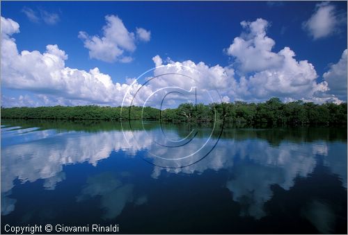 CUBA - Arcipelago delle Isole Canarreos - Cayo Estopa - canale dell'Estopa tra le mangrovie