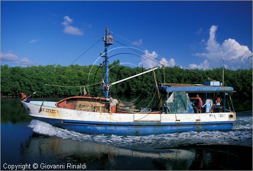 CUBA - Arcipelago delle Isole Canarreos - Cayo Estopa - passaggio di una barca per la pesca delle aragoste nel canale dell'Estopa tra le mangrovie