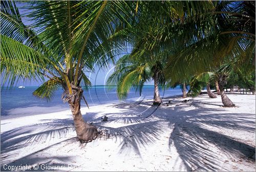 CUBA - Arcipelago delle Isole Canarreos - Cayo Campos - spiaggia di ovest