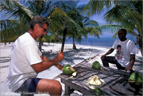 CUBA - Arcipelago delle Isole Canarreos - Cayo Campos - apertura di un cocco