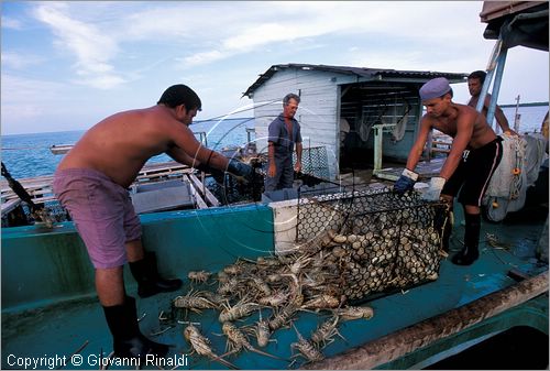 CUBA - Arcipelago delle Isole Canarreos - Cayo Campos - laguna a nord dell'isola - stazione di pesca per la raccolta delle aragoste che vengono messe in gabbie e tenute vive - il momento dello scarico dalle barche