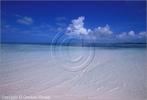 CUBA - Arcipelago delle Isole Canarreos - Cayos Pedraza