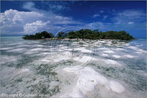 CUBA - Arcipelago delle Isole Canarreos - Cayos Pedraza - piccole dune di sabbia bianchissima emergono con il variare delle maree