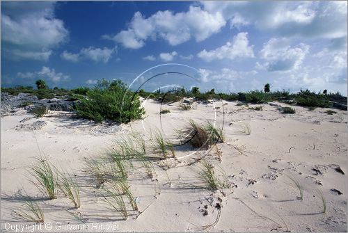 CUBA - Arcipelago delle Isole Canarreos - Cayo Rico