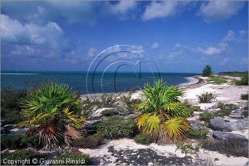 CUBA - Arcipelago delle Isole Canarreos - Cayo Rico