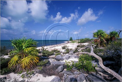 CUBA - Arcipelago delle Isole Canarreos - Cayo Rico