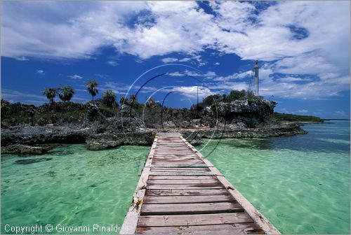 CUBA - Arcipelago delle Isole Canarreos - Cayo Piedra (Isola delle iguane)