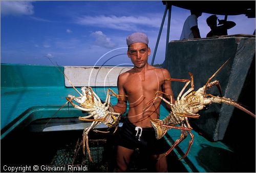 CUBA - Arcipelago delle Isole Canarreos - Cayo Aguardiente - un pescatore di aragoste