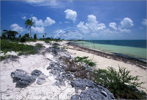 CUBA - Arcipelago delle Isole Canarreos - Cayo Avalos - una spiaggia sulla costa sud