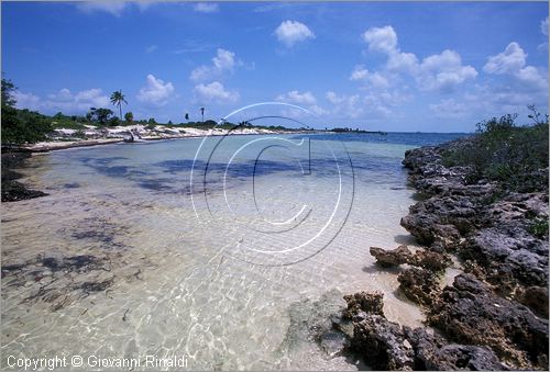 CUBA - Arcipelago delle Isole Canarreos - Cayo Avalos - una spiaggia sulla costa sud