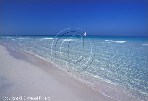 UNITED ARAB EMIRATES - DUBAI - la spiaggia di Jumeira