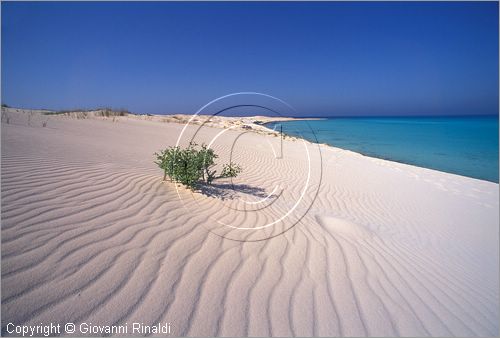 EGYPT - Sidi Abdel Rahman