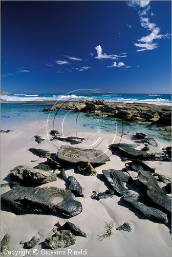 Australia Occidentale - Esperance - la costa ad ovest della citt - Nine Mile Beach