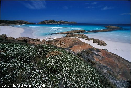 Australia Occidentale - Esperance - Cape Le Grand National Park - Lucky Bay