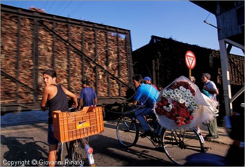 CUBA - HAVANA - passaggio di un treno carico di canna da zucchero