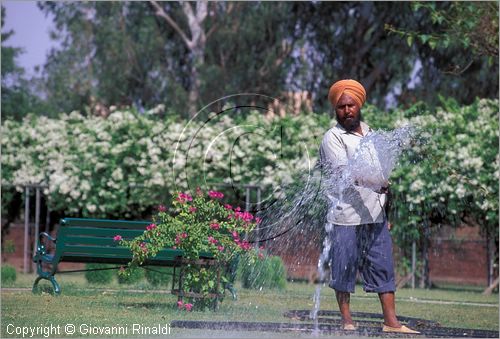 INDIA (PUNJAB) - CHANDIGARH - citt interamente progettata da Le Corbusier negli anni '50 - Giardino delle Buganvilee