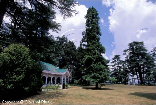 INDIA (HIMACHAL PRADESH) - Chail - Chail Palace Hotel (era una residenza del maharaja)