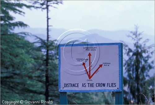 INDIA (HIMACHAL PRADESH) - Chail - Chail Palace Hotel (era una residenza del maharaja)