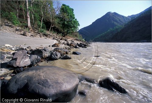 INDIA (UTTAR PRADESH) - Rishikesh - il Gange presso l'hotel "The Glasshouse on the Gange" sulla strada per Badrinath