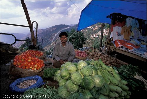 INDIA (HIMACHAL PRADESH) - SHIMLA - Tibetan Market