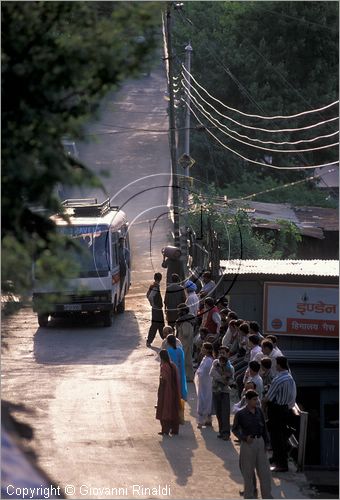 INDIA (HIMACHAL PRADESH) - SHIMLA - Cicular Road