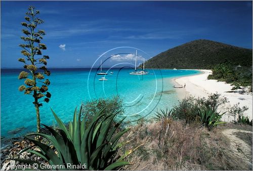 CARAIBI - ISOLE VERGINI BRITANNICHE - ISOLA DI JOST VAN DYKE - White Bay