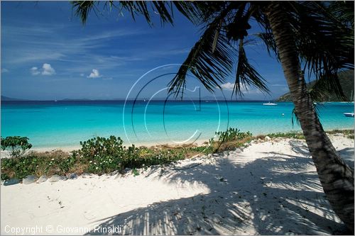 CARAIBI - ISOLE VERGINI BRITANNICHE - ISOLA DI JOST VAN DYKE - White Bay