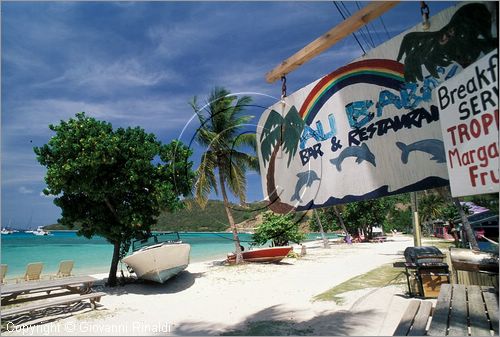 CARAIBI - ISOLE VERGINI BRITANNICHE - ISOLA DI JOST VAN DYKE - Great Harbour: Ali Baba's