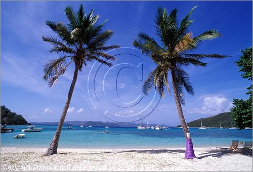 CARAIBI - ISOLE VERGINI BRITANNICHE - ISOLA DI JOST VAN DYKE - Great Harbour