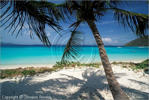 CARAIBI - ISOLE VERGINI BRITANNICHE - ISOLA DI JOST VAN DYKE