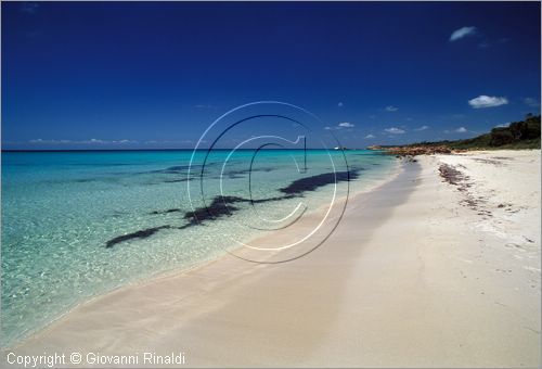 AUSTRALIA OCCIDENTALE - Cape Naturaliste - Meelup Beach presso Dunsborough