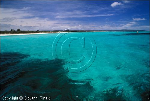 AUSTRALIA OCCIDENTALE - Dunsborough