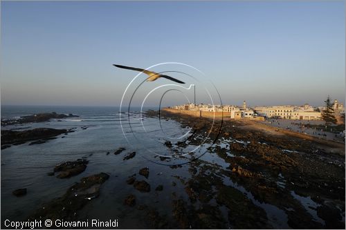 MAROCCO - MAROC - MOROCCO - ESSAOUIRA - veduta della citt dalla torre del porto