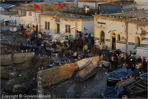 MAROCCO - MAROC - MOROCCO - ESSAOUIRA - la zona del porto a fianco al mercato del pesce dove gli uomini puliscono il pesce