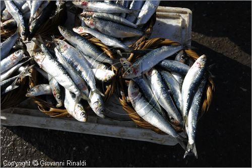 MAROCCO - MAROC - MOROCCO - ESSAOUIRA - il porto - venditore di pesce