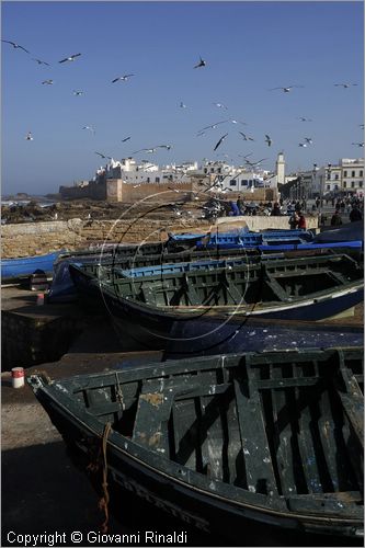 MAROCCO - MAROC - MOROCCO - ESSAOUIRA - veduta della citt dal porto