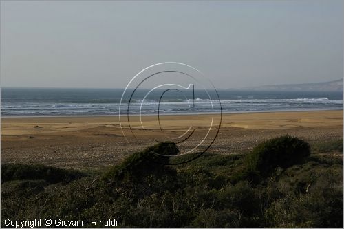 MAROCCO - MAROC - MOROCCO - (ESSAOUIRA) - la spiaggia a sud della citt