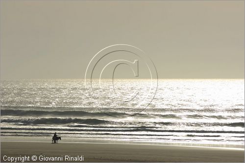 MAROCCO - MAROC - MOROCCO - (ESSAOUIRA) - la spiaggia a sud della citt