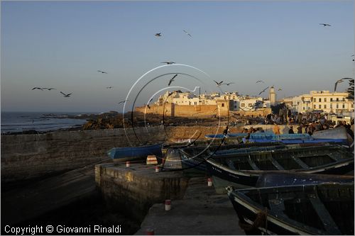 MAROCCO - MAROC - MOROCCO - ESSAOUIRA - veduta della citt al tramonto dal porto