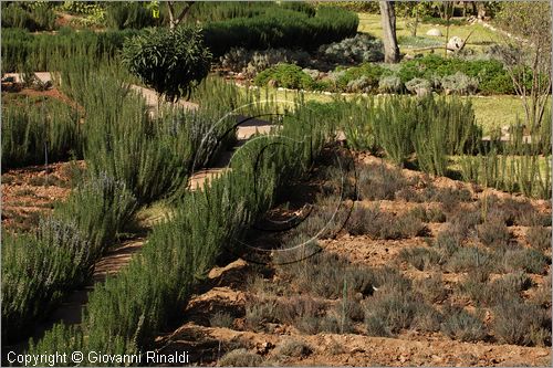 MAROCCO - MAROC - MOROCCO - (MARRAKECH) - Nectarome - Giardino Bioaromatico d'Ourika (www.nectarome.com)