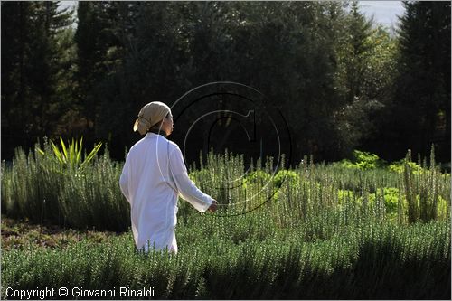 MAROCCO - MAROC - MOROCCO - (MARRAKECH) - Nectarome - Giardino Bioaromatico d'Ourika (www.nectarome.com)