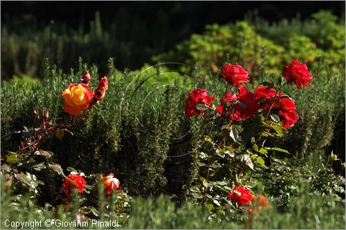 MAROCCO - MAROC - MOROCCO - (MARRAKECH) - Nectarome - Giardino Bioaromatico d'Ourika (www.nectarome.com)