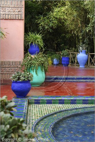 MAROCCO - MAROC - MOROCCO - MARRAKECH - Jardin Majorelle (www.jardinmajorelle.com)