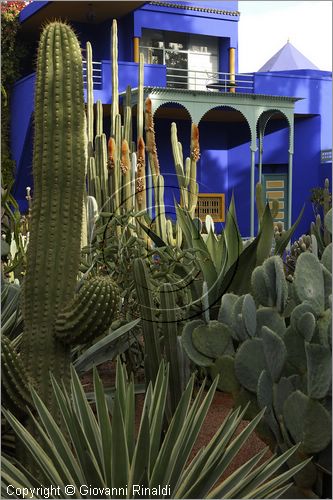 MAROCCO - MAROC - MOROCCO - MARRAKECH - Jardin Majorelle (www.jardinmajorelle.com)